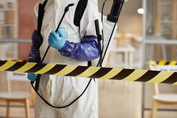 Professional Sewage Cleanup technician working in Bethel, NC